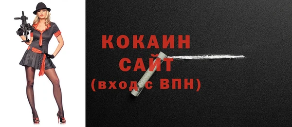 шишки Верхний Тагил