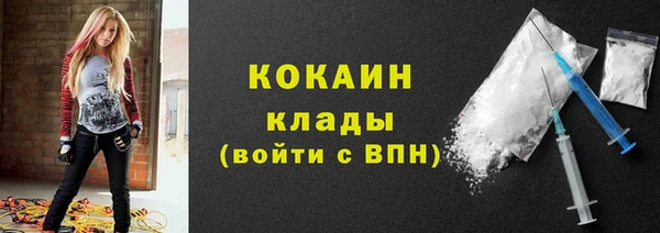 крисы Верея