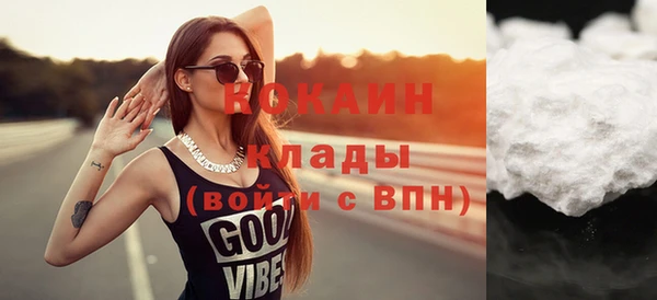 шишки Верхний Тагил