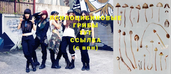 крисы Верея