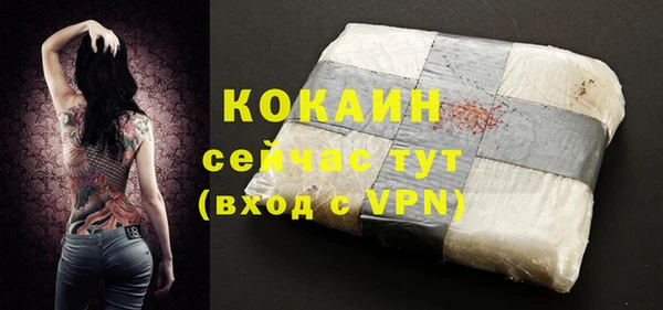 шишки Верхний Тагил