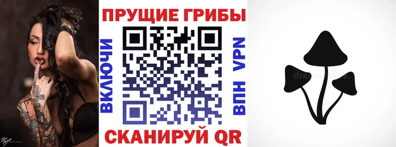 блэк спрут ссылки  Камышлов  Псилоцибиновые грибы мухоморы 
