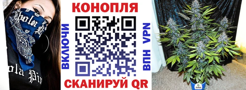 Шишки марихуана VHQ  как найти наркотики  Камышлов 
